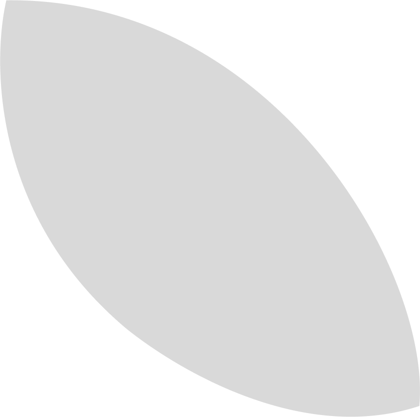 Gray Petal